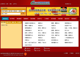 專業(yè)網(wǎng)站優(yōu)化,網(wǎng)站推廣,網(wǎng)站信息發(fā)布
