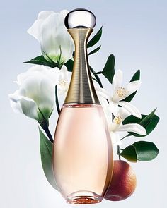 花卉植物場(chǎng)景產(chǎn)品在蔬菜種植中的應(yīng)用與效益