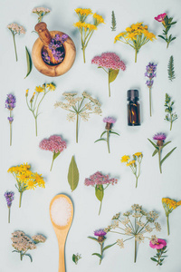 李子醬匙 點(diǎn)亮生活的花卉藝術(shù)