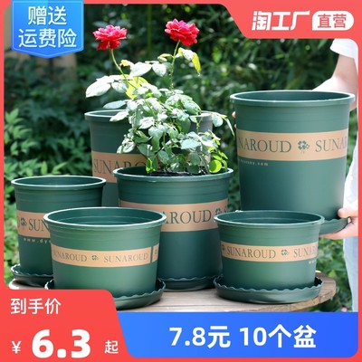 花卉網(wǎng)購(gòu)熱潮 綠植經(jīng)濟(jì)與生活美學(xué)的數(shù)字融合