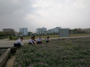 惠州市人民政府門戶網站