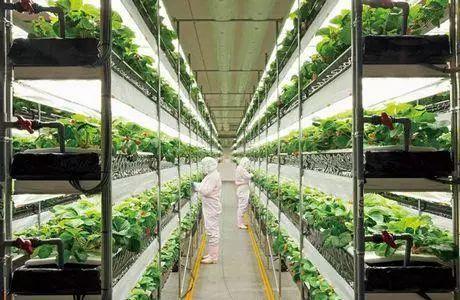 小小靚科技2017十大農業科技盤點