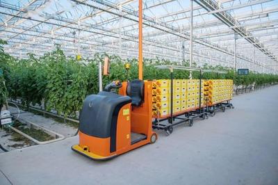 新基建數(shù)字化植物工廠(chǎng)開(kāi)辟農(nóng)業(yè)新版圖!