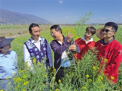 中國農業大學2009年探索成立科技小院,培養農業高層次人才,服務農業農村現代化建設 中國農大已在全國建立139個科技小院