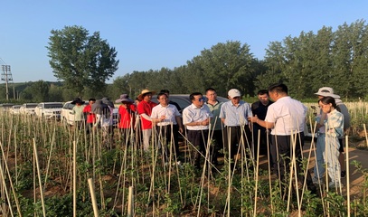 河南省果蔬產(chǎn)業(yè)科技特派員服務(wù)團(tuán)(睢縣)調(diào)研洛寧蘋果產(chǎn)業(yè)并開展科技服務(wù)