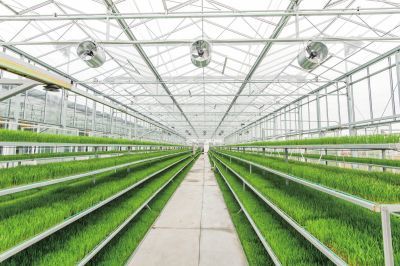 江蘇:&ldquo;雙新雙創&rdquo;為鄉村振興凝聚強勁動能