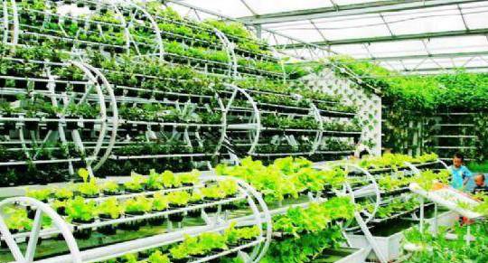 生態(tài)農(nóng)業(yè)和旅游有機結(jié)合的方式?