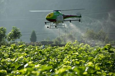 重磅|看京東、金少江、百果園、順豐如何淘金智慧農(nóng)業(yè)