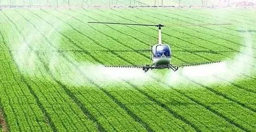 農業農村部 國家鄉村振興局 鼓勵社會資本投資的13個重點產業和領域