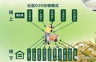 農(nóng)業(yè)電子商務(wù)發(fā)展對(duì)策