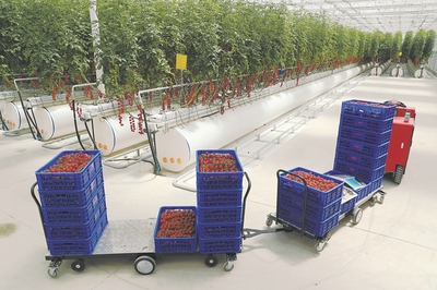 【大國糧策】科技賦能喜耕田