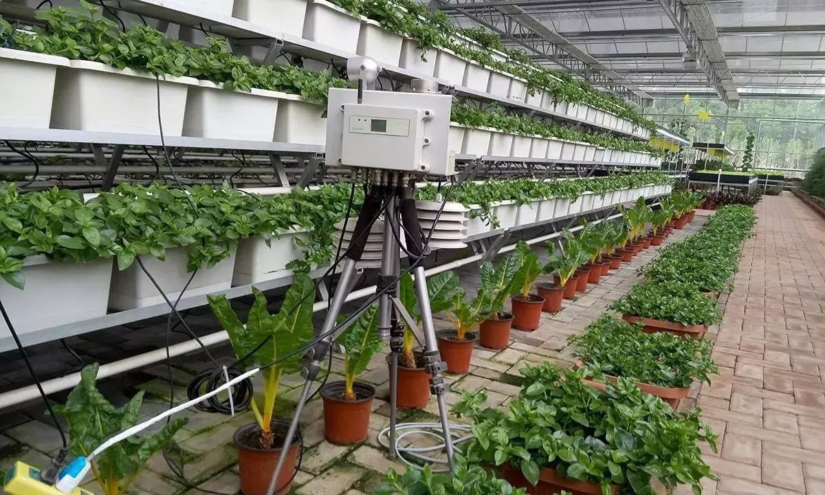 原來農(nóng)業(yè)這么&ldquo;高大上&rdquo;,為您盤點(diǎn)精準(zhǔn)農(nóng)業(yè)領(lǐng)域的10項(xiàng)尖端技術(shù)_科技_網(wǎng)