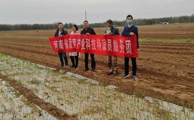 河南省蔬菜產(chǎn)業(yè)科技特派員服務(wù)團(tuán)赴民權(quán)縣開(kāi)展科技服務(wù)