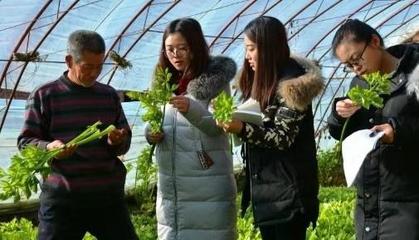 &ldquo;智囊團&rdquo;來啦!6個科技小院落戶內蒙古杭錦后旗