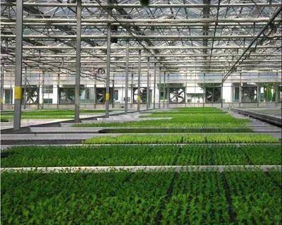 張兵書記調研湘家蕩農業數字化工廠，助力農民豐收節農業科技服務