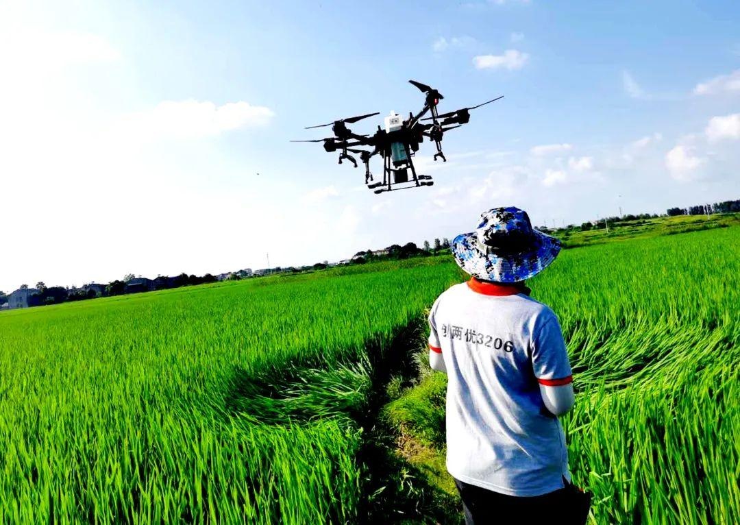 農業科技服務推廣的持續性與完整性探討