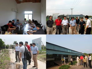 我院科研處與上海市農業科技服務中心開展黨建雙結對活動，共促農業科技服務發展